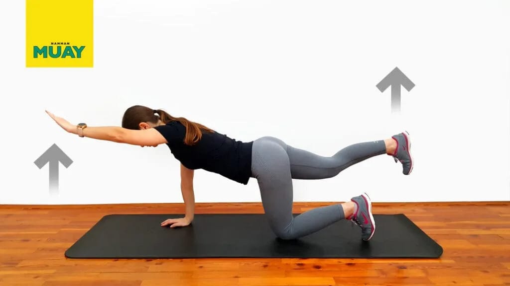 Ellentétes kar–láb nyújtás négykézláb helyzetben